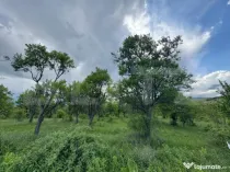 Teren extravilan de vanzare, 5305 mp, in apropiere de Hațeg