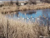 Teren intravilan 609 mp Vidra, deschidere 24 m, ideal pentru 