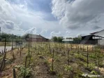 Teren intravilan 1.342 mp Filiași, parcelabil, ideal invest