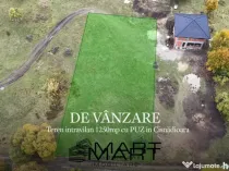 Teren intravilan 1250mp cu PUZ in Cisnădioara