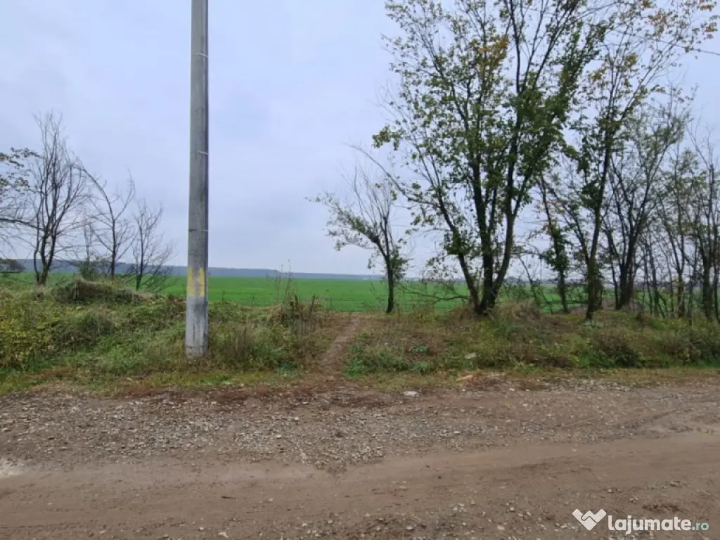 Teren Branesti -Romancierilor