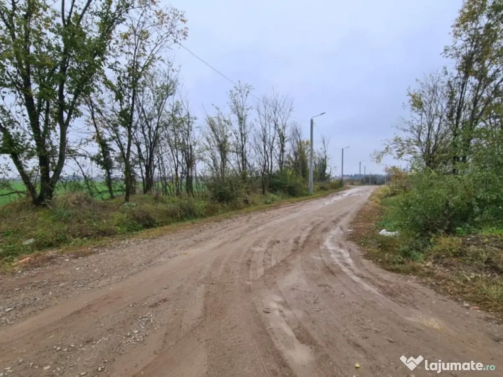 Teren Branesti -Romancierilor