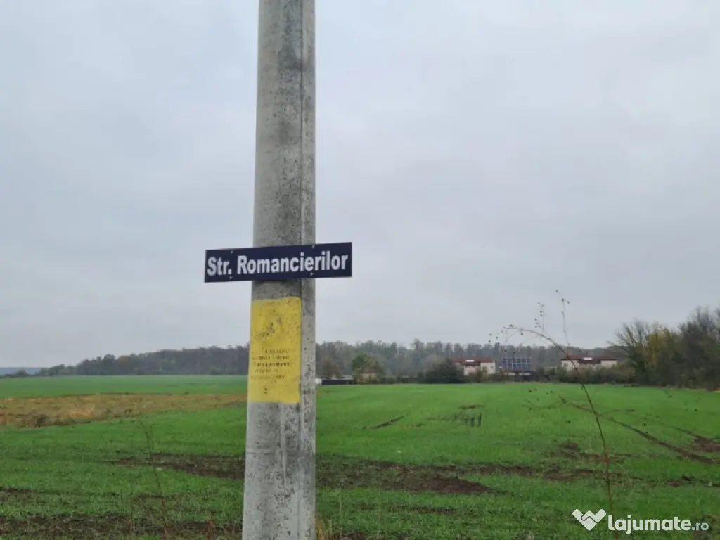 Teren Branesti -Romancierilor