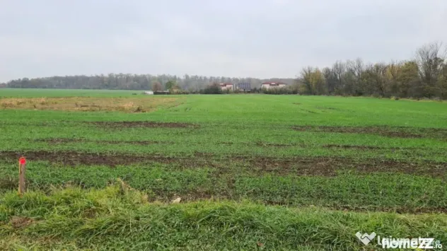 Teren Branesti -Romancierilor - Branesti (Bucuresti-Ilfov)