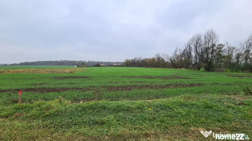 Teren Branesti -Romancierilor - Branesti (Bucuresti-Ilfov)