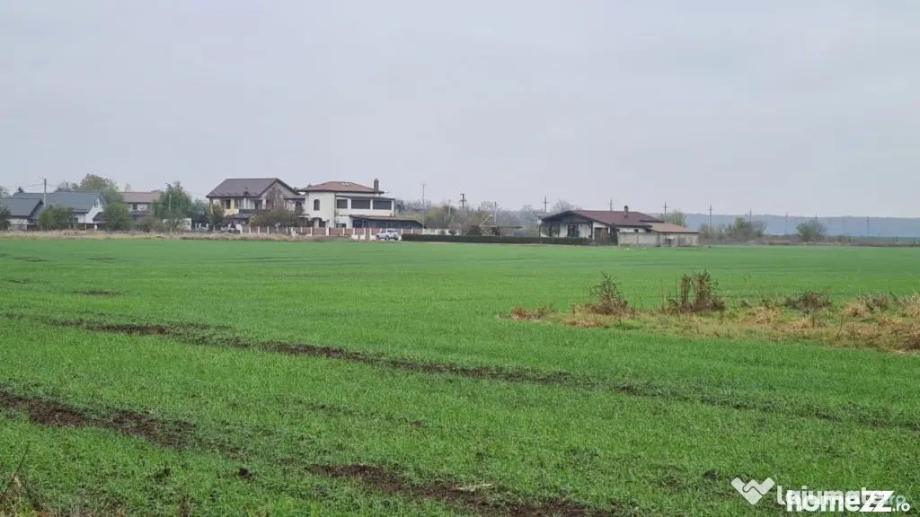 Teren Branesti -Romancierilor - Branesti (Bucuresti-Ilfov)