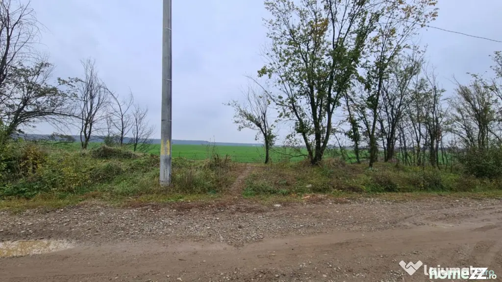 Teren Branesti -Romancierilor - Branesti (Bucuresti-Ilfov)