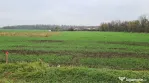 Teren Branesti -Romancierilor