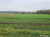 Teren Branesti -Romancierilor