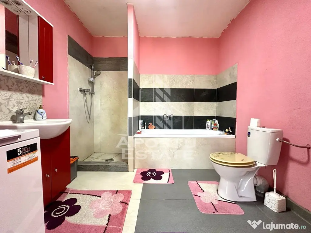 Casa de vanzare in localitatea Dinias - Dinias (Timis)