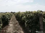 Teren de vanzre in Pitesti 53.000 mp + Conac Boieresc 