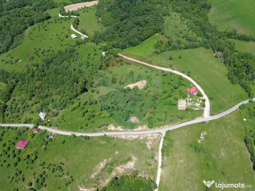 Teren intravilan de vanzare 12,700mp Codru Butesii / Stra...