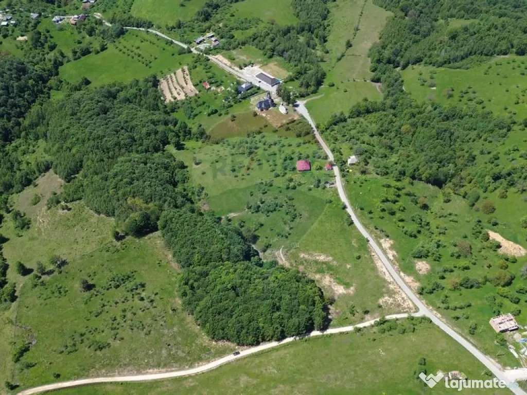 Teren intravilan de vanzare 12,700mp Codru Butesii / Stra...