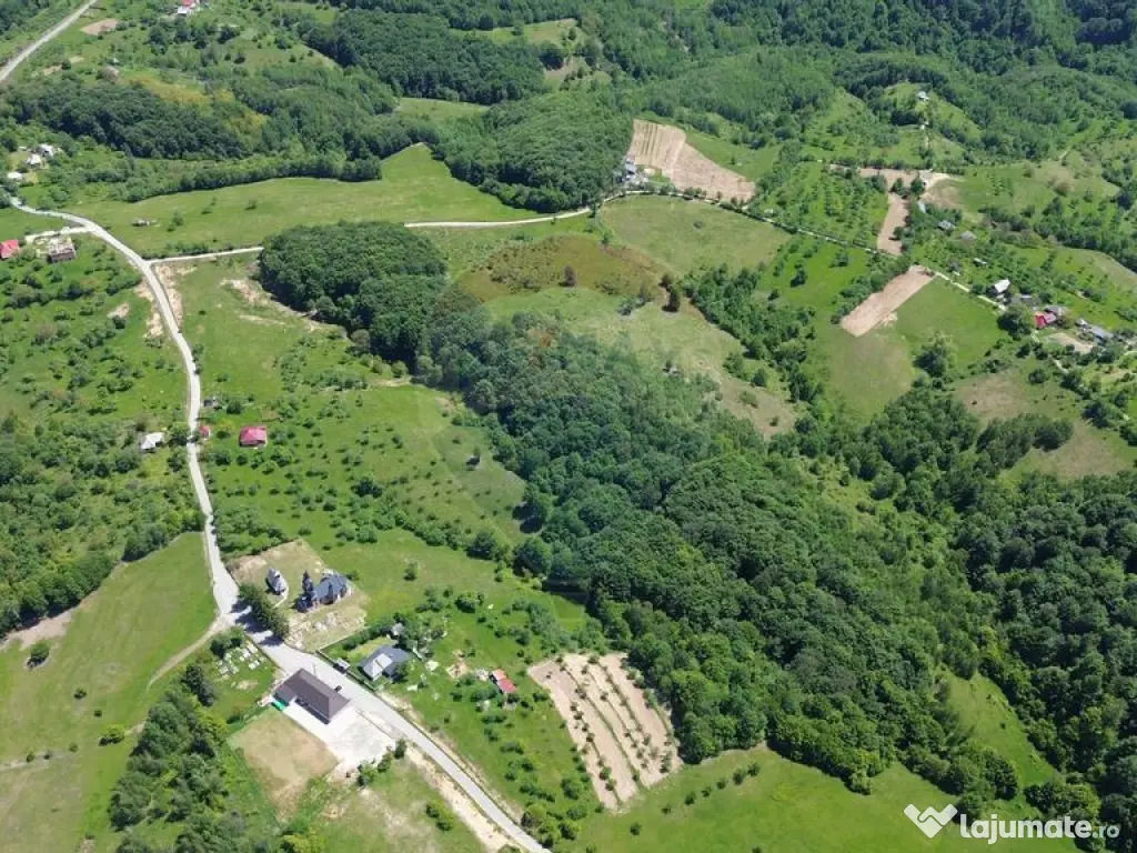 Teren intravilan de vanzare 12,700mp Codru Butesii / Stra...