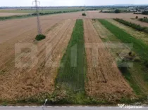 Teren de Vanzare in Razvad-Oportunitate Excelenta!