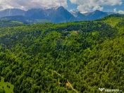 Teren extravlan 14,400mp Paraul Rece / Strada 3 brazi 