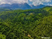 Teren extravlan 14,400mp Paraul Rece / Strada 3 brazi