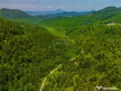 Teren extravlan 14,400mp Paraul Rece / Strada 3 brazi 