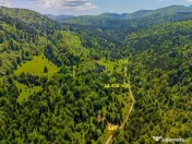 Teren extravlan 14,400mp Paraul Rece / Strada 3 brazi 