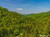 Teren extravlan 14,400mp Paraul Rece / Strada 3 brazi 