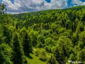 Teren extravlan 14,400mp Paraul Rece / Strada 3 brazi 