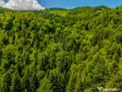 Teren extravlan 14,400mp Paraul Rece / Strada 3 brazi 