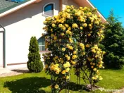 Casă / Vilă cu 4 camere de vânzare in Spataru, Buzau 