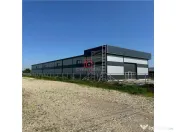 Depozit/hala/spatiu industrial Chiajna - Ciorogarla - A1-A 
