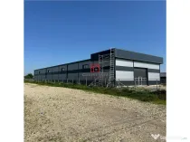 Depozit/hala/spatiu industrial Chiajna - Ciorogarla - A1-A