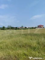 Teren extravilan, de vanzare, 1900 mp, zona Priseaca