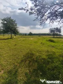 Casa+teren 5000mp, 70ml la DN 2E, zona Cacica, Radauti
