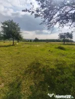 Casa+teren 5000mp, 70ml la DN 2E, zona Cacica, Radauti