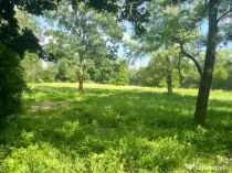 Teren extravilan, 10000 mp, Vicovu de Sus