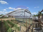 Casă cu gradina si solarii de legume 