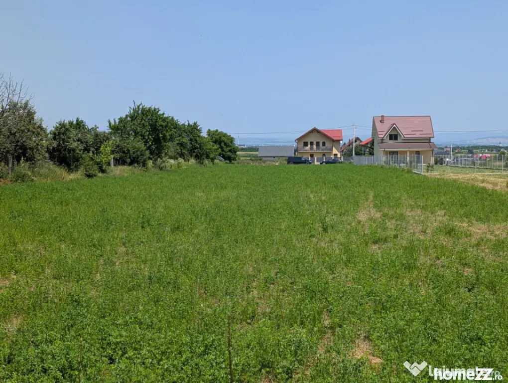Teren Măgura Farbe , 4600m dubla deschidere - Bacau (Bacau)