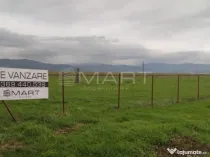 Teren intravilan cu PUZ 30.000 mp Prejmer