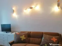 1 camera in zona Torantalului