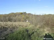 Babana - Centru - Primarie, Teren intravilan 13742 mp 