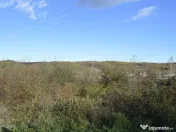 Babana - Centru - Primarie, Teren intravilan 13742 mp 