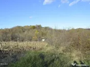 Babana - Centru - Primarie, Teren intravilan 13742 mp 