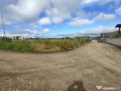 Teren intravilan, 6000mp, Ghimbav 