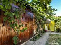 Reco Casa cu teren in Uileacul de Beius