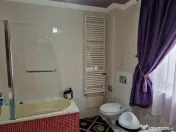 Casa de vanzare, Sanmartin la intrarea in localitate 