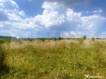 Teren construibil, 1100 mp, cu certificat de urbanism, Salic