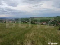 Teren extravilan 1248 mp in Copaceni! Oportunitate investiti