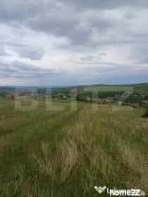 Teren extravilan 1248 mp in Copaceni! Oportunitate investiti