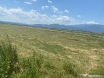 Teren Rasnov 1935 mp