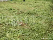 Teren casa individuală, Dumbrăvița