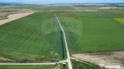 Fermă vegetală 148 ha și sediu fermă Mãicãneşti !
