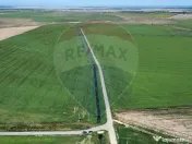 Fermă vegetală 148 ha și sediu fermă Mãicãneşti ! 